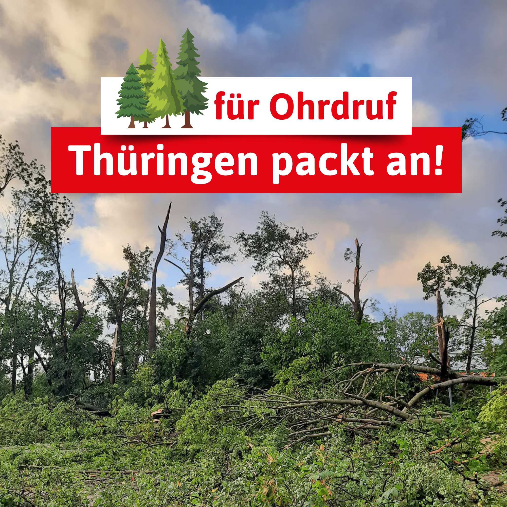 ANTENNE THÜRINGEN Community Baum