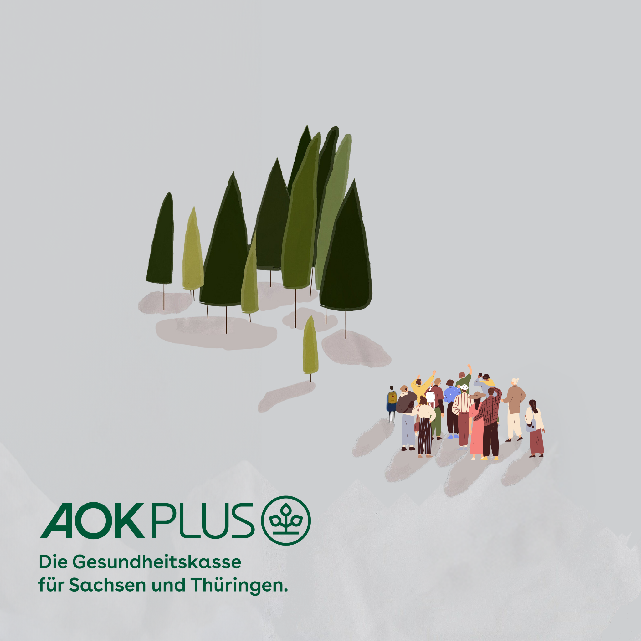 AOK PLUS Baum