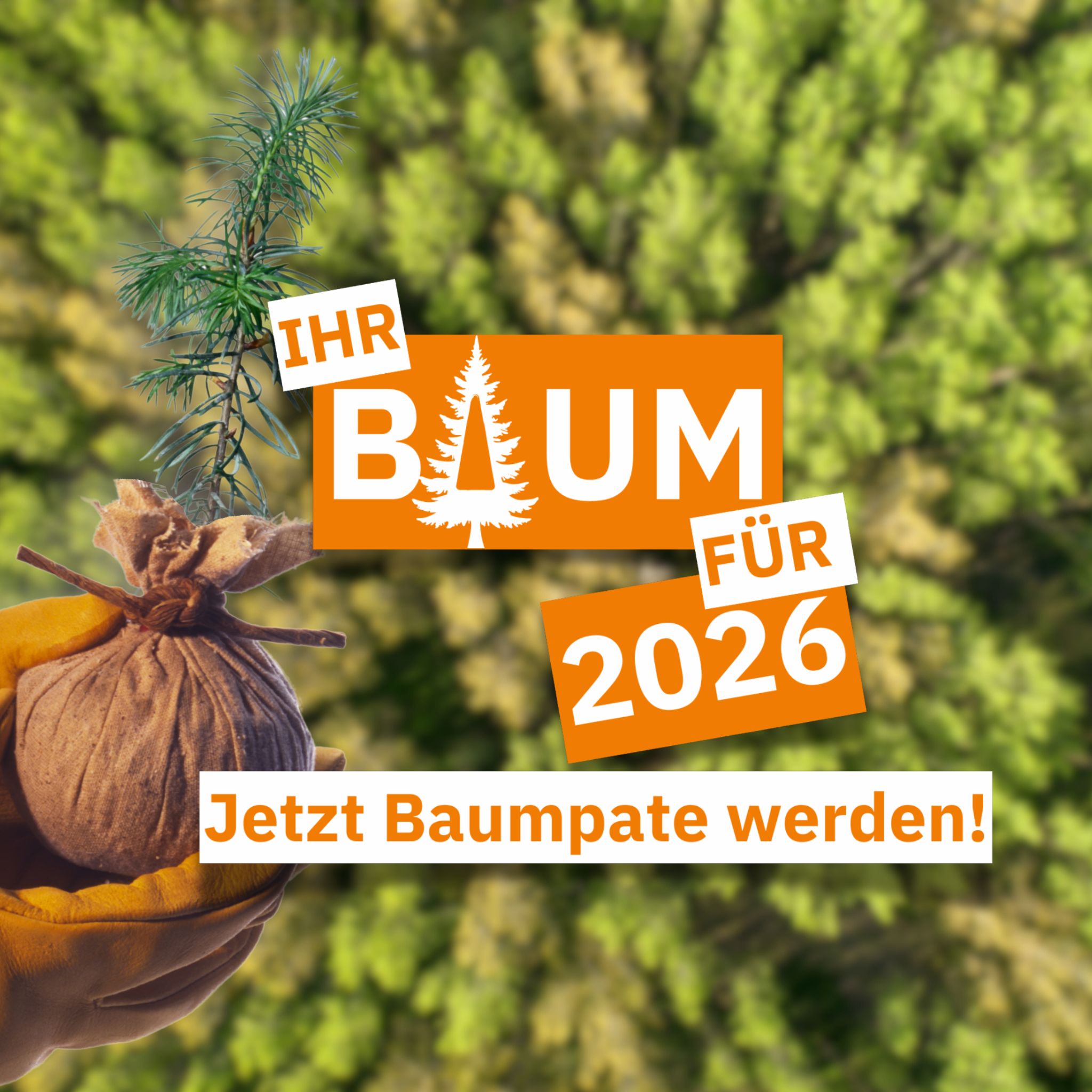 LandesWelle Thüringen Community Baum