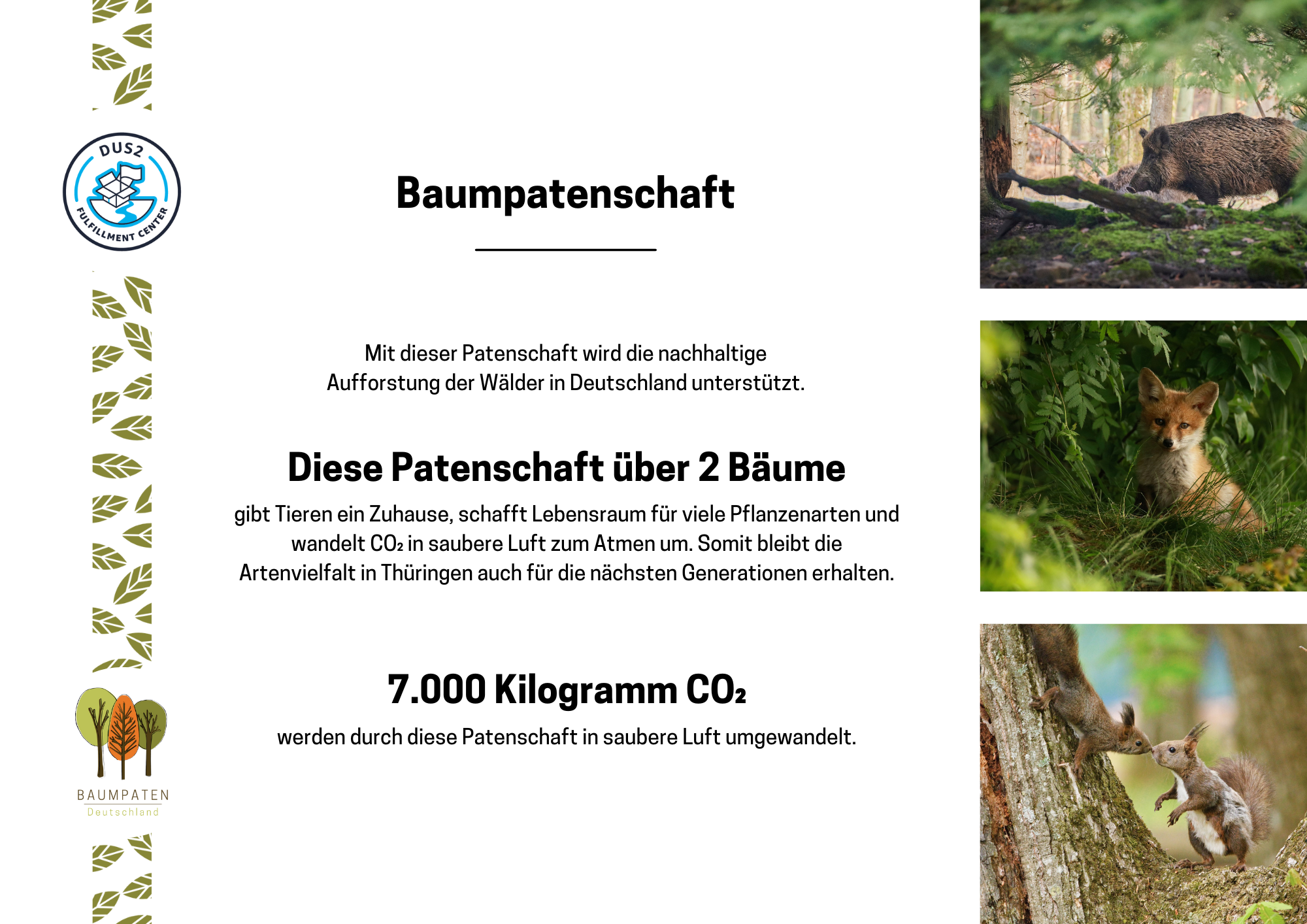 Amazon Rheinberg – DUS2 Baum