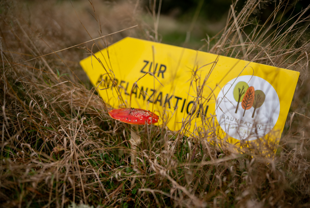 Teams einbinden und langfristig wachsen