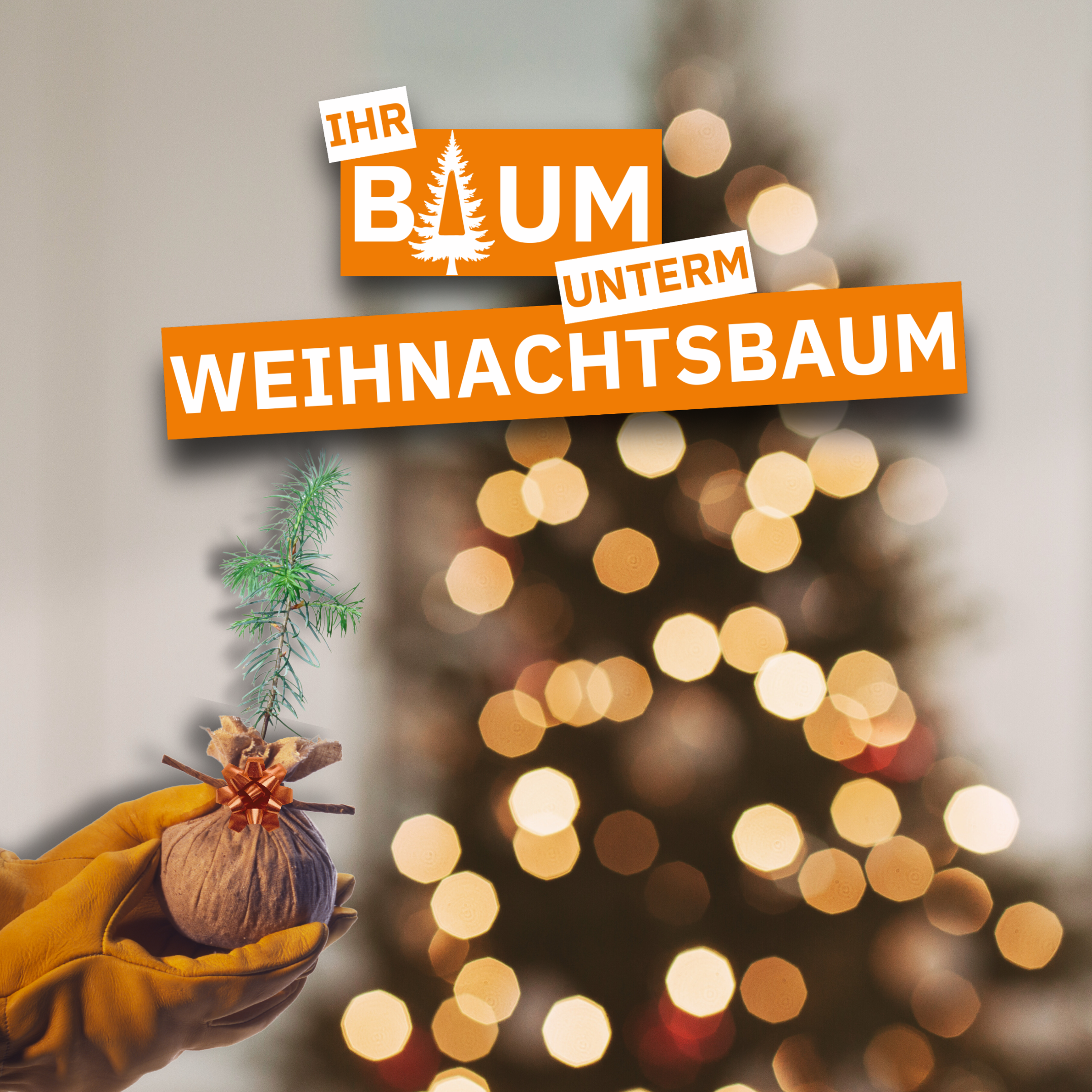 LandesWelle Thüringen Community Baum