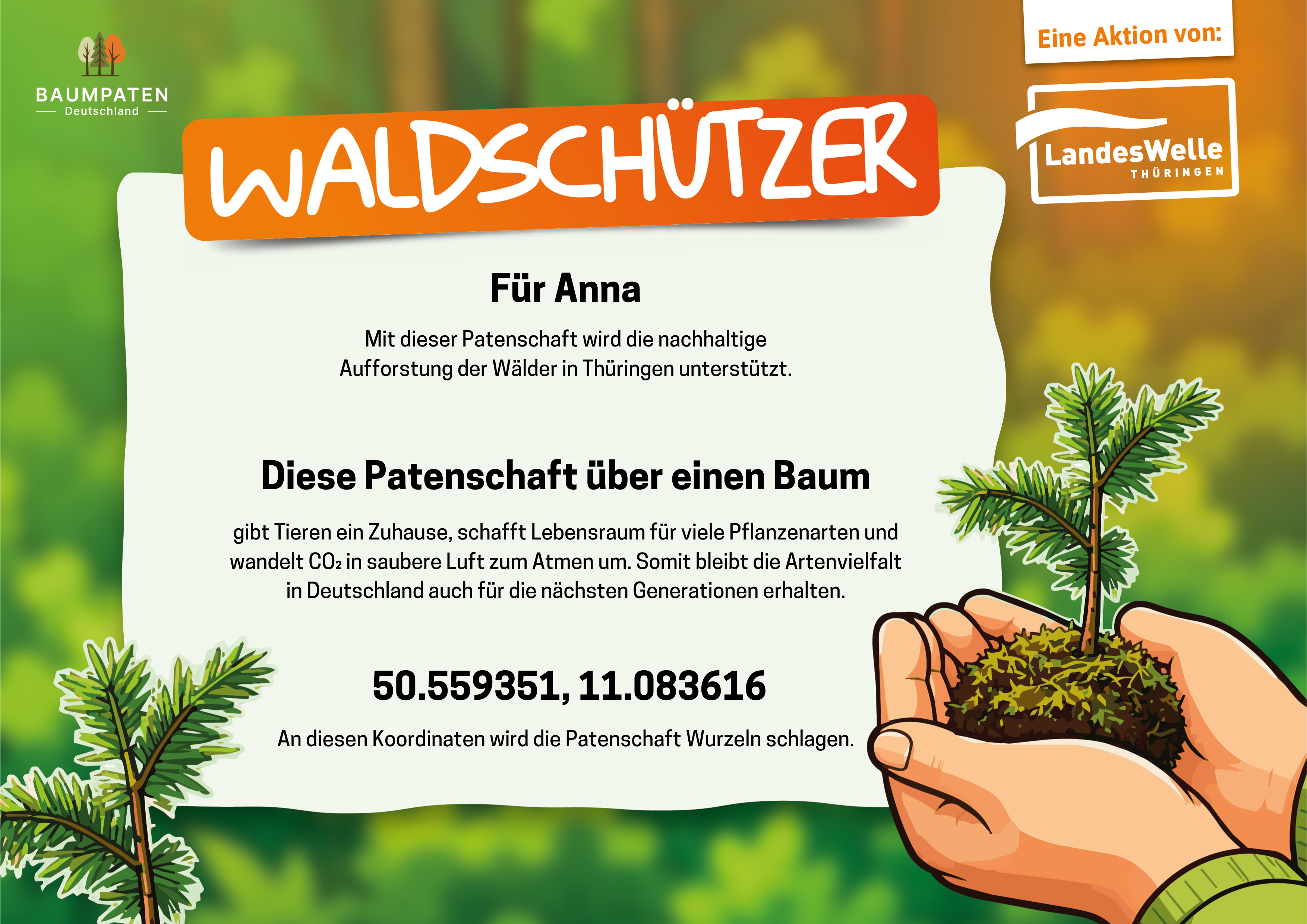 Waldschützer-Urkunde